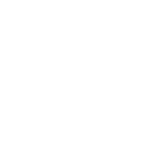 High Reach Excavators