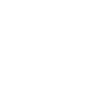 Mini Excavators